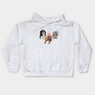 The 3 amigos, bff cavaliers Kids Hoodie